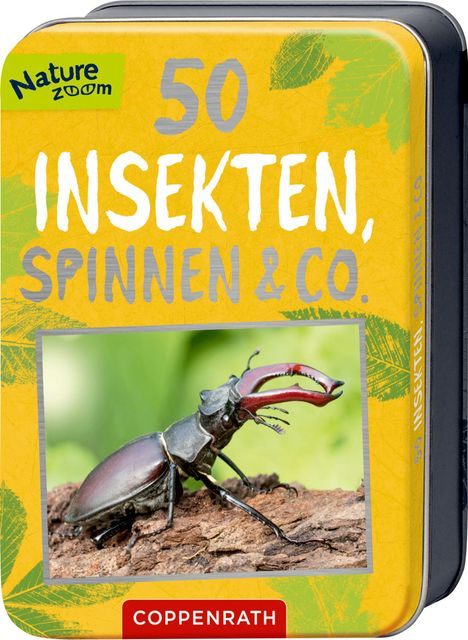 Holger Haag: 50 Insekten, Spinnen &amp; Co., Buch