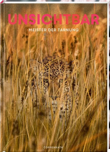 Holger Haag: Unsichtbar, Buch