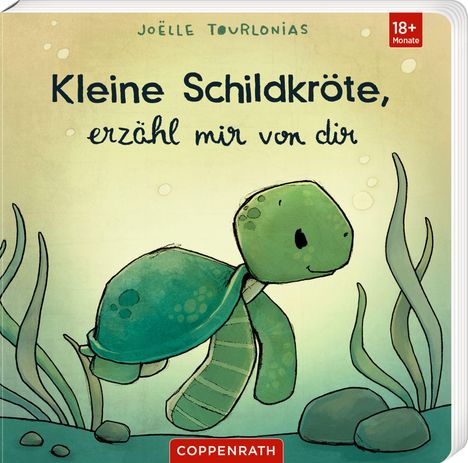 „Kleine Schildkröte, erzähl mir von dir“. Illustration einer fröhlichen grünen Schildkröte im Wasser.