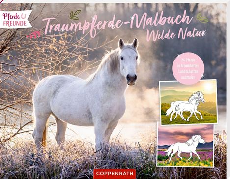 Traumpferde-Malbuch: Wilde Natur, Buch