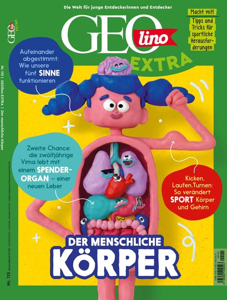 Titel: "DER MENSCHLICHE KÖRPER". Bunte Knetfigur mit Kopf geöffnet, Organe sichtbar. Fröhliche, kindgerechte Gestaltung.