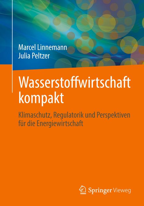 Julia Peltzer: Wasserstoffwirtschaft kompakt, Buch