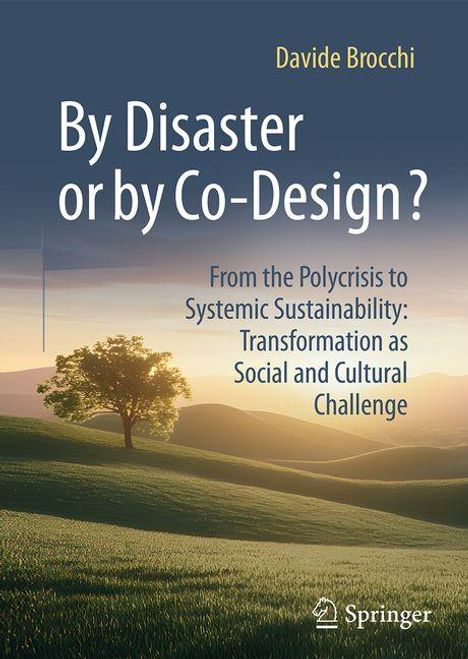 Text: "By Disaster or by Co-Design?" Untertitel zur systemischen Nachhaltigkeit. Hintergrund zeigt Baum und Landschaft bei Sonnenaufgang.