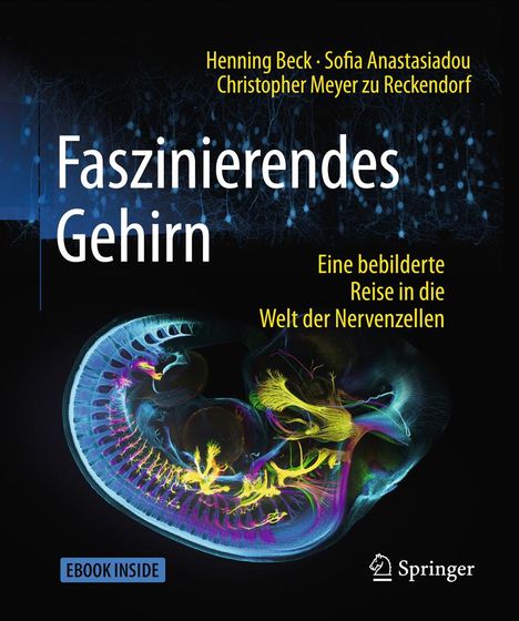 Henning Beck: Faszinierendes Gehirn, 1 Buch und 1 eBook