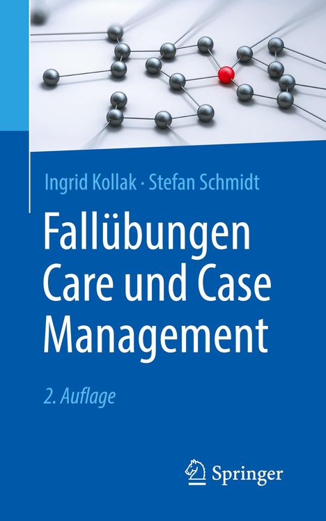 Stefan Schmidt: Schmidt, S: Fallübungen Care und Case Management, Buch
