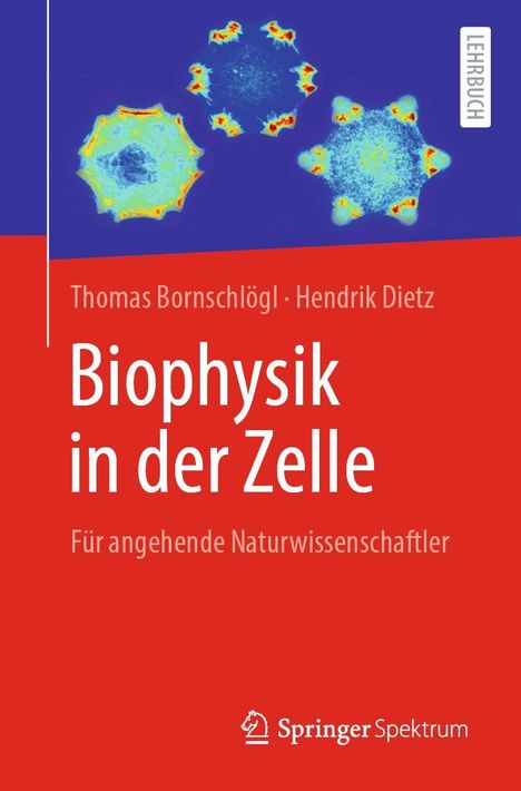 Thomas Bornschlögl: Biophysik in der Zelle, Buch