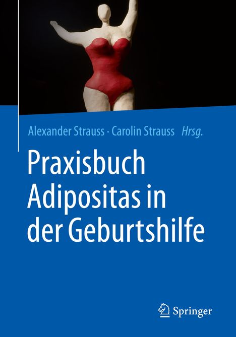 Praxisbuch Adipositas in der Geburtshilfe, Buch