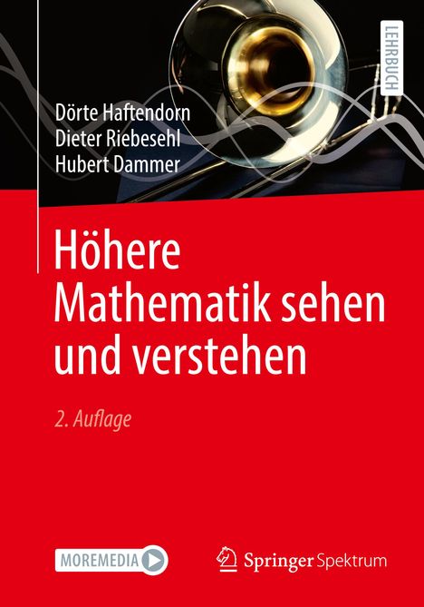 Dörte Haftendorn: Höhere Mathematik sehen und verstehen, Buch