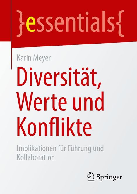 Karin Meyer: Diversität, Werte und Konflikte, Buch