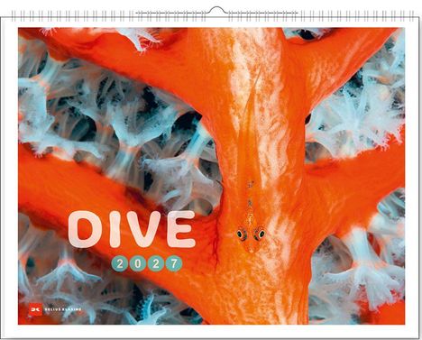 "DIVE 2027" in weißen Buchstaben auf einem leuchtend orange-roten Hintergrund mit blauen Korallen.