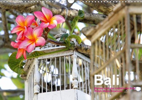 Katja Baumgartner: Baumgartner, K: Bali (Wandkalender 2020 DIN A3 quer), Kalender