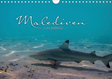 Clave Rodriguez Photography: Rodriguez Photography, C: Unterwasserwelt der Malediven I (W, Kalender