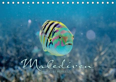 Clave Rodriguez Photography: Rodriguez Photography, C: Unterwasserwelt der Malediven II (, Kalender