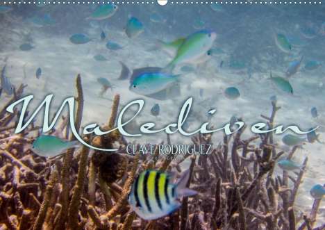 Clave Rodriguez Photography: Rodriguez Photography, C: Unterwasserwelt der Malediven III, Kalender