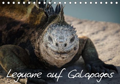 Ralph Binder: Binder, R: Leguane auf Galapagos (Tischkalender 2020 DIN A5, Kalender