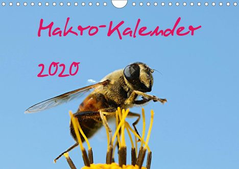 Bernd Witkowski: Witkowski, B: Makro-Kalender 2020 (Wandkalender 2020 DIN A4, Kalender