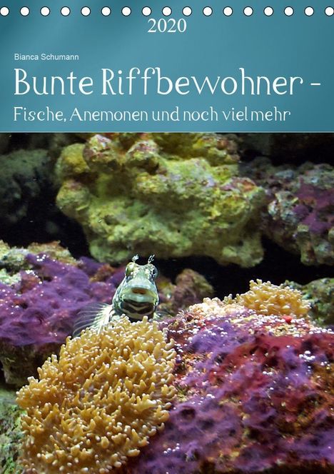 Bianca Schumann: Schumann, B: Bunte Riffbewohner - Fische, Anemonen und noch, Kalender