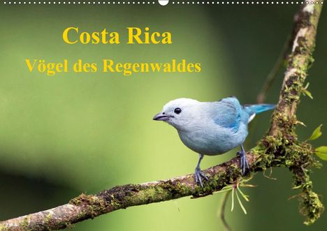 K. A. Akrema-Photography: Akrema-Photography, K: Costa Rica - Vögel des Regenwaldes (W, Kalender