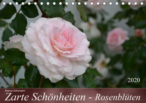 Bianca Schumann: Schumann, B: Zarte Schönheiten - RosenblütenAT-Version (Tis, Kalender