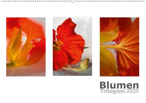 Christiane Calmbacher: Calmbacher, C: Blumen Trilogien (Wandkalender 2020 DIN A2 qu, Kalender