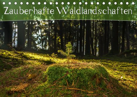 Marcel Wenk: Wenk, M: Zauberhafte Waldlandschaften (Tischkalender 2020 DI, Kalender