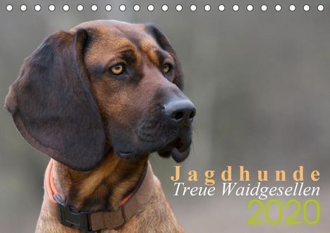 Nadine Gerlach: Gerlach, N: Jagdhunde - Treue Waidgesellen (Tischkalender 20, Kalender