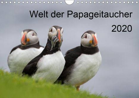 Anna-Barbara Utelli: Utelli, A: Welt der Papageitaucher (Wandkalender 2020 DIN A4, Kalender