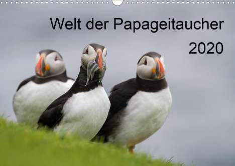 Anna-Barbara Utelli: Utelli, A: Welt der Papageitaucher (Wandkalender 2020 DIN A3, Kalender