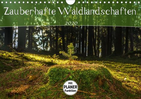 Marcel Wenk: Wenk, M: Zauberhafte Waldlandschaften (Wandkalender 2020 DIN, Kalender