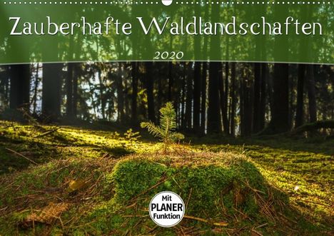 Marcel Wenk: Wenk, M: Zauberhafte Waldlandschaften (Wandkalender 2020 DIN, Kalender