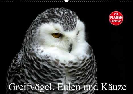 Arno Klatt: Klatt, A: Greifvögel, Eulen und Käuze (Wandkalender 2020 DIN, Kalender