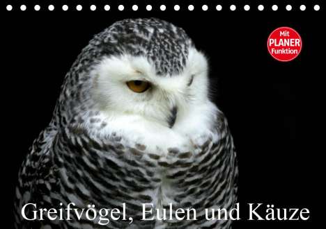 Arno Klatt: Klatt, A: Greifvögel, Eulen und Käuze (Tischkalender 2020 DI, Kalender