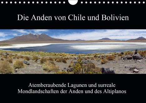 Rick Astor: Astor, R: Anden von Chile und Bolivien (Wandkalender 2020 DI, Kalender