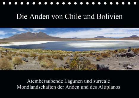 Rick Astor: Astor, R: Anden von Chile und Bolivien (Tischkalender 2020 D, Kalender