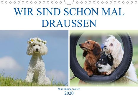 Hundefotowerk Bea Müller: Bea Müller, H: WIR SIND SCHON MAL DRAUSSEN - Was Hunde wolle, Kalender