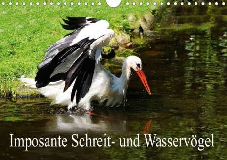 Erika Müller: Müller, E: Imposante Schreit- und Wasservögel (Wandkalender, Kalender