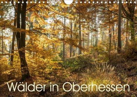 Karl-Günter Balzer: Balzer, K: Wälder in Oberhessen (Wandkalender 2020 DIN A4 qu, Kalender