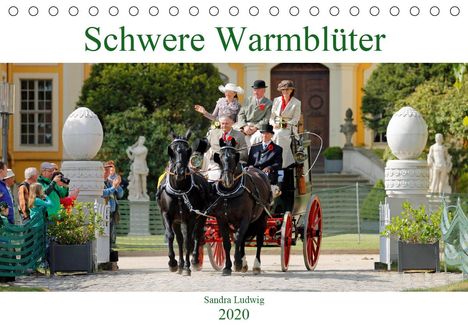 Sandra Ludwig: Ludwig, S: Schwere Warmblüter 2020 (Tischkalender 2020 DIN A, Kalender