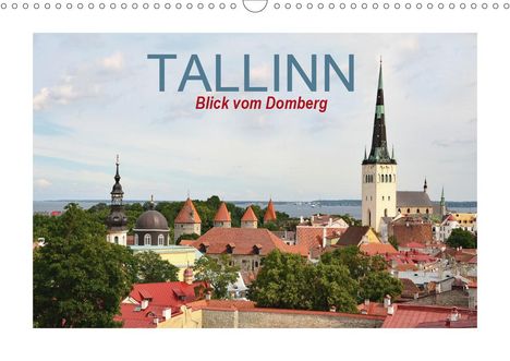 Nina Schwarze: Schwarze, N: Tallinn Blick vom Domberg (Wandkalender 2020 DI, Kalender