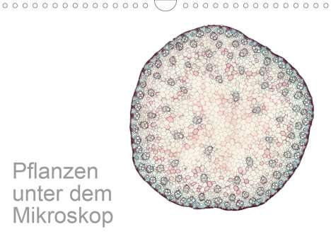 Martin Schreiter: Schreiter, M: Pflanzen unter dem Mikroskop (Wandkalender 202, Kalender