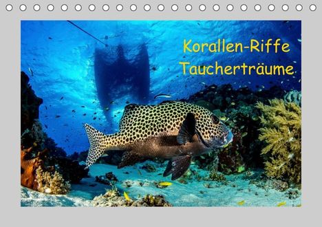 Sascha Caballero: Caballero, S: Korallen-Riffe Taucherträume (Tischkalender 20, Kalender