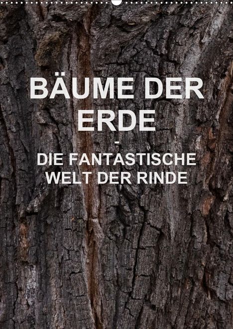 Martin Schreiter: Schreiter, M: BÄUME DER ERDE - DIE FANTASTISCHE WELT DER RIN, Kalender