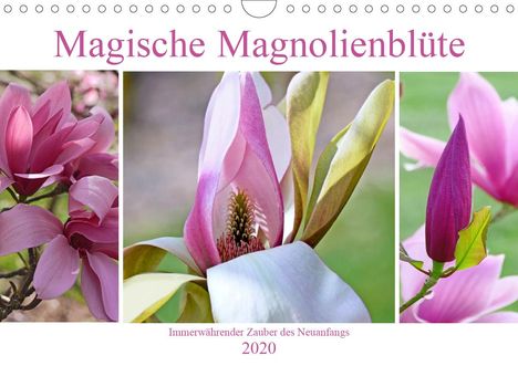 Christine B-B Müller: B-B Müller, C: Magische Magnolienblüte (Wandkalender 2020 DI, Kalender