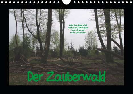 Uwe Bernds: Bernds, U: Zauberwald (Wandkalender 2021 DIN A4 quer), Kalender