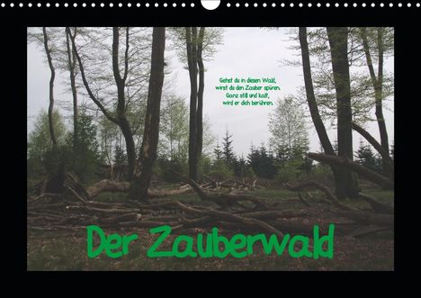 Uwe Bernds: Bernds, U: Zauberwald (Wandkalender 2021 DIN A3 quer), Kalender