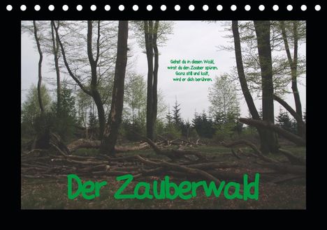 Uwe Bernds: Bernds, U: Zauberwald (Tischkalender 2021 DIN A5 quer), Kalender