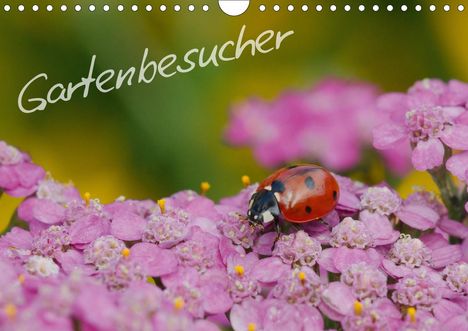 Gerhard Müller: Müller, G: Gartenbesucher (Wandkalender 2021 DIN A4 quer), Kalender