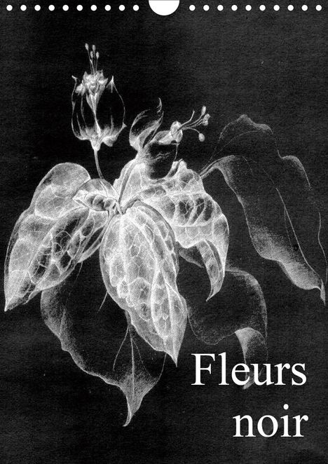 Friederike Küster: Küster, F: Fleurs noir (Wandkalender 2021 DIN A4 hoch), Kalender