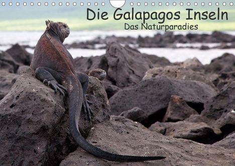 K. A. Akrema-Photography: Akrema-Photography, K: Galapagos Inseln - Das Naturparadies, Kalender