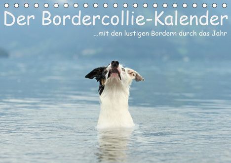 Kathrin Köntopp: Köntopp, K: Bordercollie-Kalender (Tischkalender 2021 DIN A5, Kalender